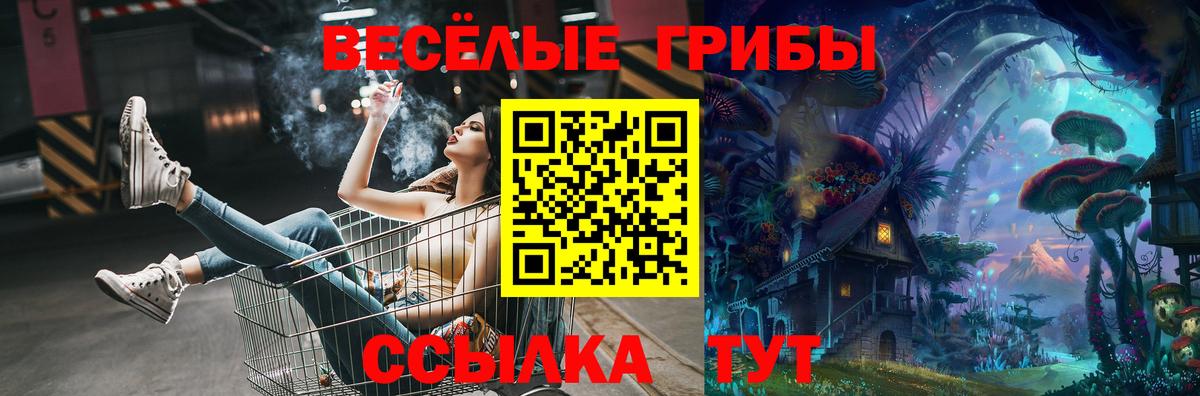 Кострома  Галлюциногенные грибы мухоморы  Галлюциногенные грибы Psilocybe  Вход с VPN 